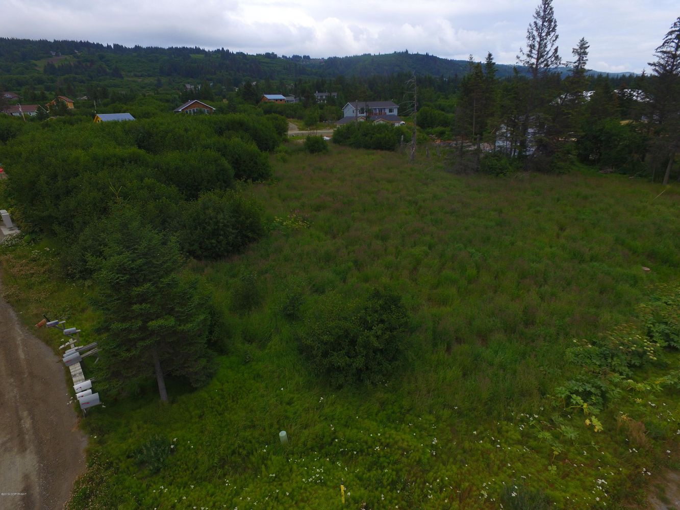 3658 Forest Glen Dr, Homer, AK 99603